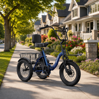NomadRide VENEZIA – Triciclo Elettrico Pieghevole 3 Ruote | Motore 500W, Batteria 48V 15Ah & Ruote 18x3.0