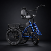 NomadRide VENEZIA – Triciclo Elettrico Pieghevole 3 Ruote | Motore 500W, Batteria 48V 15Ah & Ruote 18x3.0