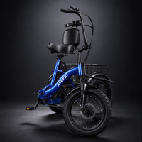 NomadRide VENEZIA – Triciclo Elettrico Pieghevole 3 Ruote | Motore 500W, Batteria 48V 15Ah & Ruote 18x3.0
