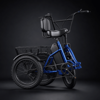 NomadRide VENEZIA – Triciclo Elettrico Pieghevole 3 Ruote | Motore 500W, Batteria 48V 15Ah & Ruote 18x3.0