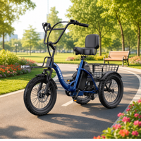 NomadRide VENEZIA – Triciclo Elettrico Pieghevole 3 Ruote | Motore 500W, Batteria 48V 15Ah & Ruote 18x3.0