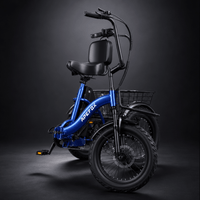 NomadRide VENEZIA – Triciclo Elettrico Pieghevole 3 Ruote | Motore 500W, Batteria 48V 15Ah & Ruote 18x3.0
