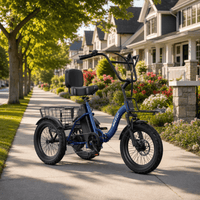 NomadRide VENEZIA – Triciclo Elettrico Pieghevole 3 Ruote | Motore 500W, Batteria 48V 15Ah & Ruote 18x3.0